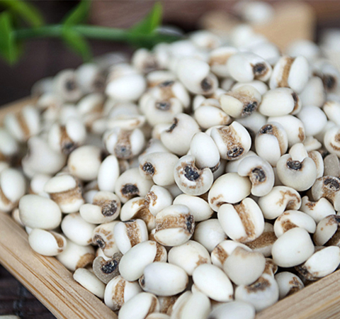 祛濕的最佳品薏米的副作用有哪些