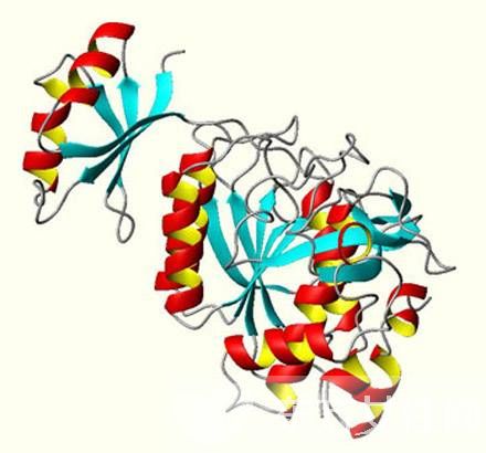什么是營養(yǎng)不良性水腫？營養(yǎng)不良性水腫的飲食