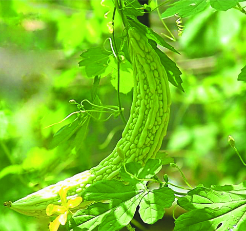 夏季飲食 七大禁忌要留心