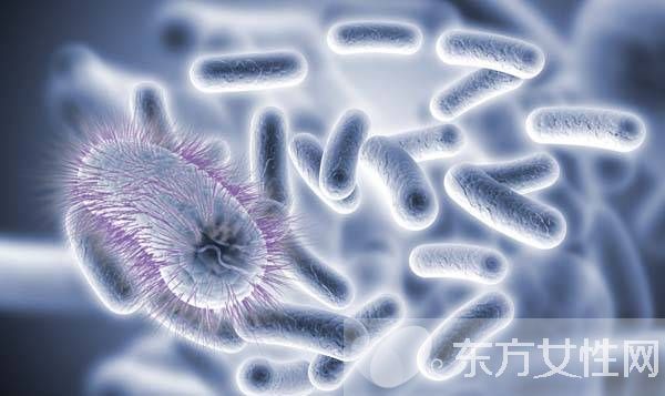 梅毒傳播途徑有哪些 男性如何對(duì)梅毒進(jìn)行預(yù)防