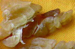 滋補(bǔ)養(yǎng)生 林蛙油的功效與作用