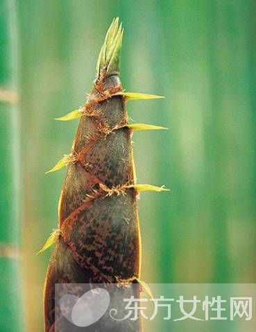 竹筍怎么剝皮 竹筍不能和什么一起吃