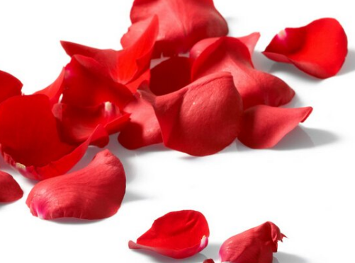 玫瑰花的功效與作用有哪些？有什么使用禁忌