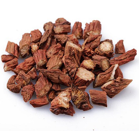 丹參的功效與作用及食用方法