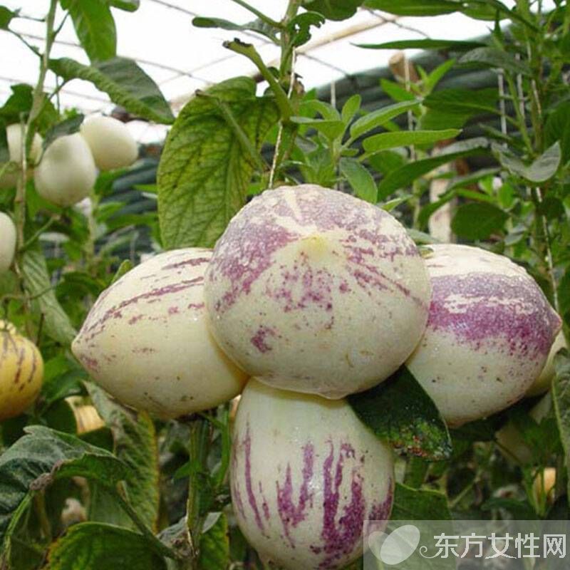 人參果的作用有哪些 孕婦能吃人參果嗎