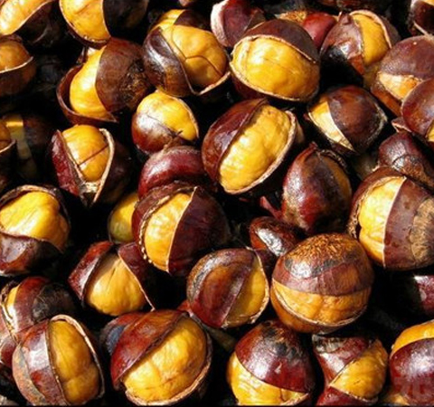 板栗的作用與功效 板栗怎么去皮