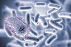 梅毒傳播途徑有哪些 男性如何對(duì)梅毒進(jìn)行預(yù)防