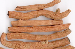 丹參的功效與作用及食用方法