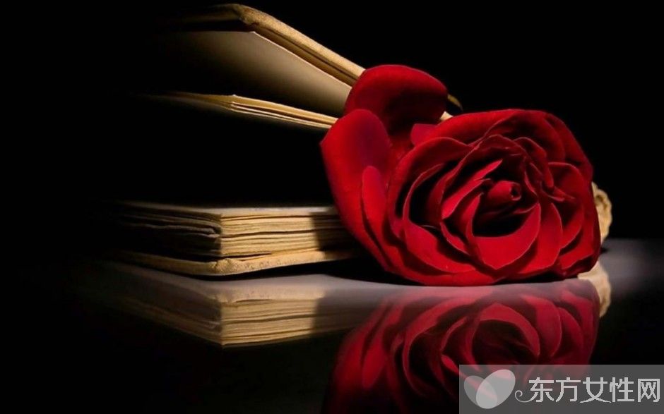 玫瑰花怎么保存時(shí)間長(zhǎng)  玫瑰花的花語(yǔ)是什么