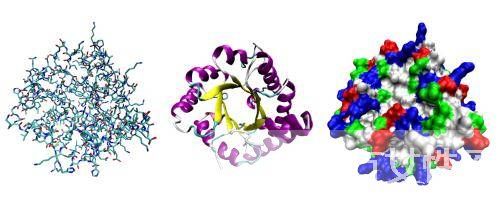 什么是營養(yǎng)不良性水腫？營養(yǎng)不良性水腫的飲食