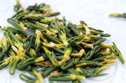 揭蓮心的作用 滋養(yǎng)補虛防癌抗癌