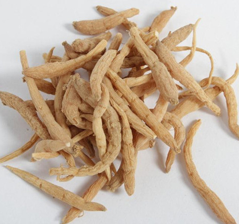 揭太子參的功效與作用 太子參的用藥禁忌有哪些