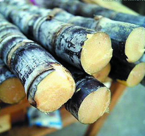 甘蔗上火嗎 帶你了解甘蔗的營養(yǎng)價值