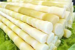 冬筍和春筍的區(qū)別 幾招教你如何分辨