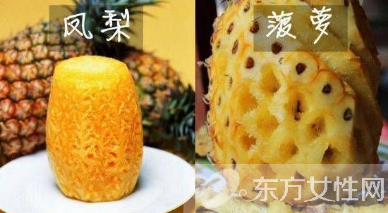 鳳梨和菠蘿的區(qū)別 鳳梨和菠蘿的營養(yǎng)價值都有哪些