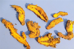 黃連的功效 黃連應(yīng)當(dāng)如何應(yīng)用