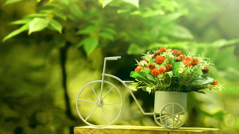 如何保護(hù)眼睛  推薦日常護(hù)眼10個小竅門