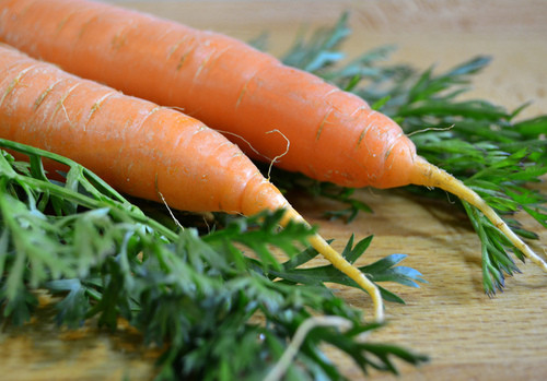 胡蘿卜的功效及禁忌 合理食用好處多