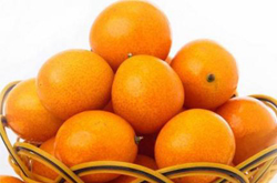 預防慢性疾病全靠它 揭金桔的功效與作用