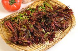 香椿的營養(yǎng)價值及做法大全 孕婦能吃香椿嗎