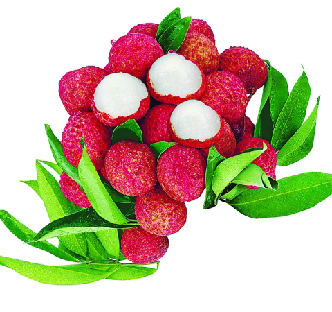 荔枝的功效與作用 哪些人不適合吃