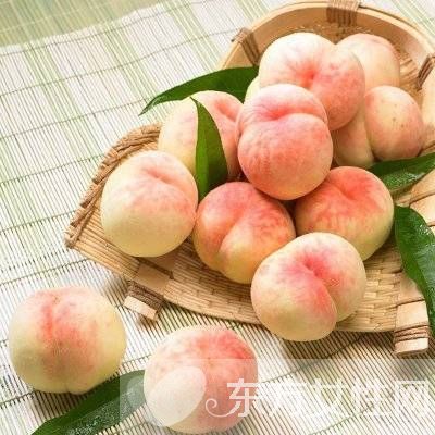 桃子屬于什么種類的水果 吃桃子的5個禁忌