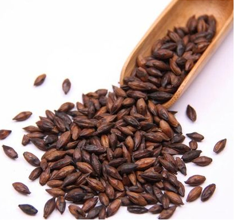 大麥茶飲用也有禁忌 揭大麥茶的功效與作用