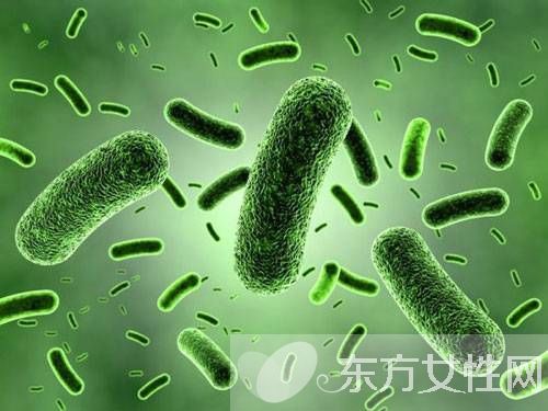 幽門螺旋桿菌感染 4大預(yù)防方法需做好