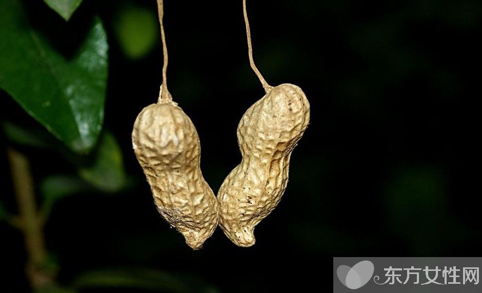 煮花生多長(zhǎng)時(shí)間能熟 哪些人不宜吃花生