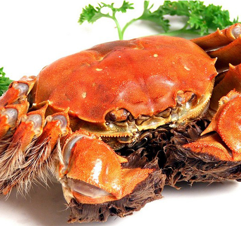 柿餅的營(yíng)養(yǎng)價(jià)值 豐富維生素都在它這里