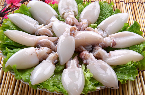 墨魚的營養(yǎng)價值      富含鈣磷鐵蛋白質(zhì)