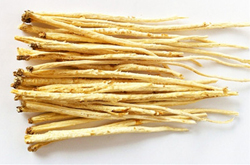 揭沙參的功效與作用 沙參怎么選購(gòu)