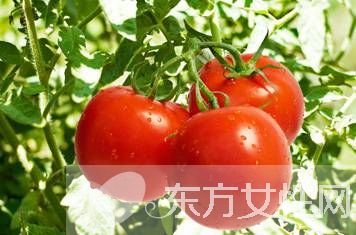 空腹不能吃的水果有哪些 空腹吃水果的危害