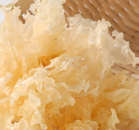 揭木耳的功效與作用 黑白木耳搭配有妙用