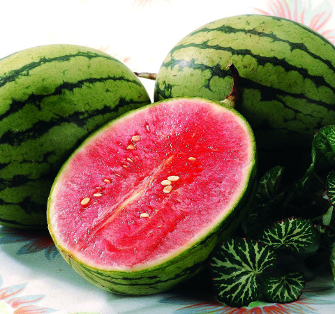 西瓜的功效與作用有哪些  營養(yǎng)禁忌全知道