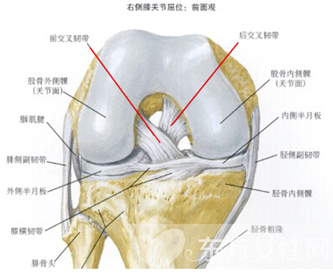 韌帶損傷如何治療 韌帶損傷的癥狀