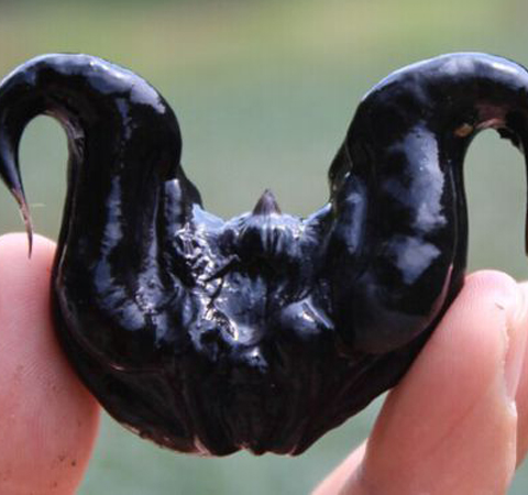 細(xì)說(shuō)菱角粉的功效和作用有哪些