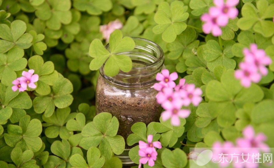 家有妙招大全集 薦日常生活中的12個小竅門