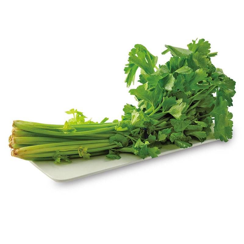 痔瘡患者應(yīng)注意什么 其他特別注意的8大事項