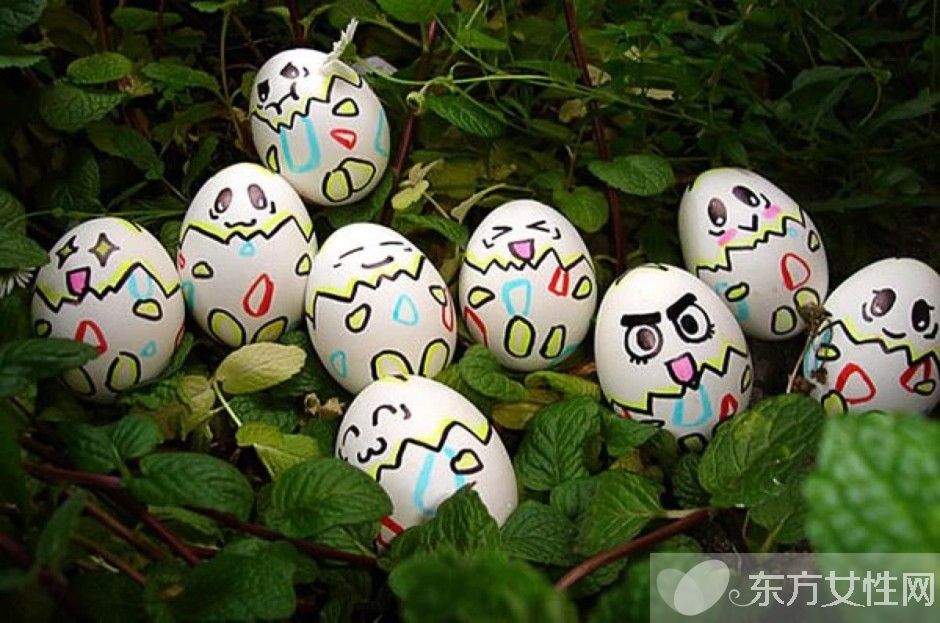 雞蛋殼的妙用有哪些  揭秘雞蛋殼的16個神奇妙用