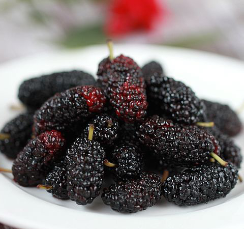 桑葚的作用有哪些 6種功效大盤點(diǎn)