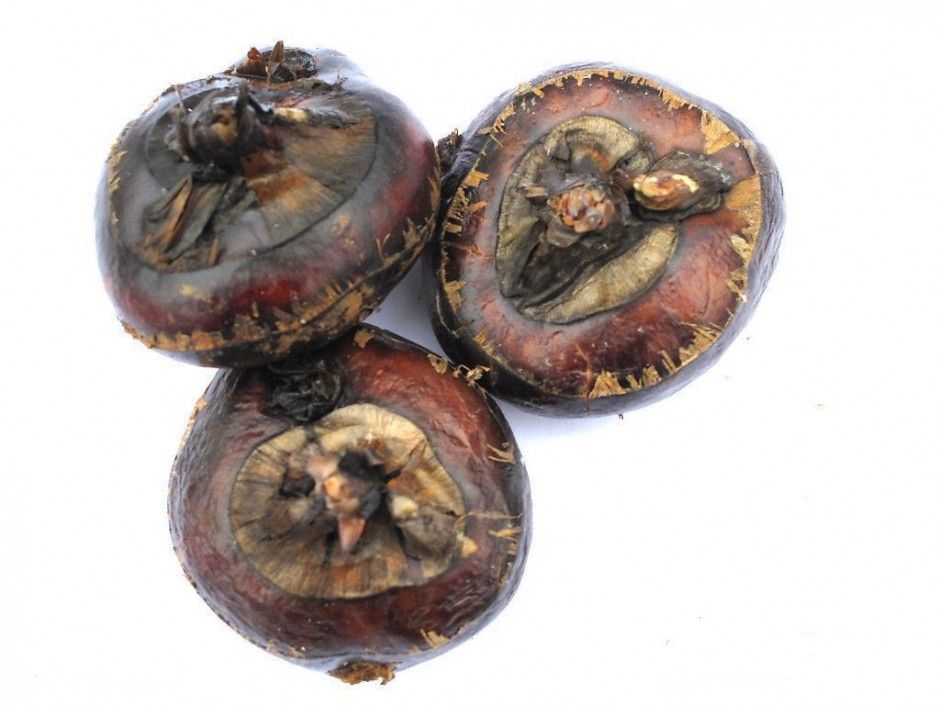 馬蹄的做法有哪些 如何挑選馬蹄