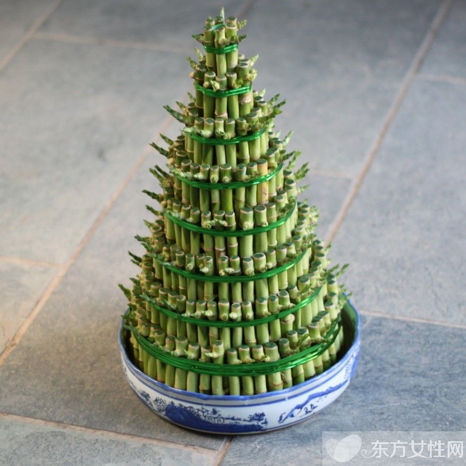 富貴竹葉子發(fā)黃怎么辦 富貴竹養(yǎng)殖注意事項(xiàng)大全