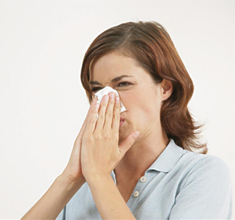 蒼耳子的功效與作用 揭蒼耳子的禁忌