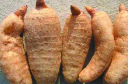 11種最佳天麻的吃法介紹