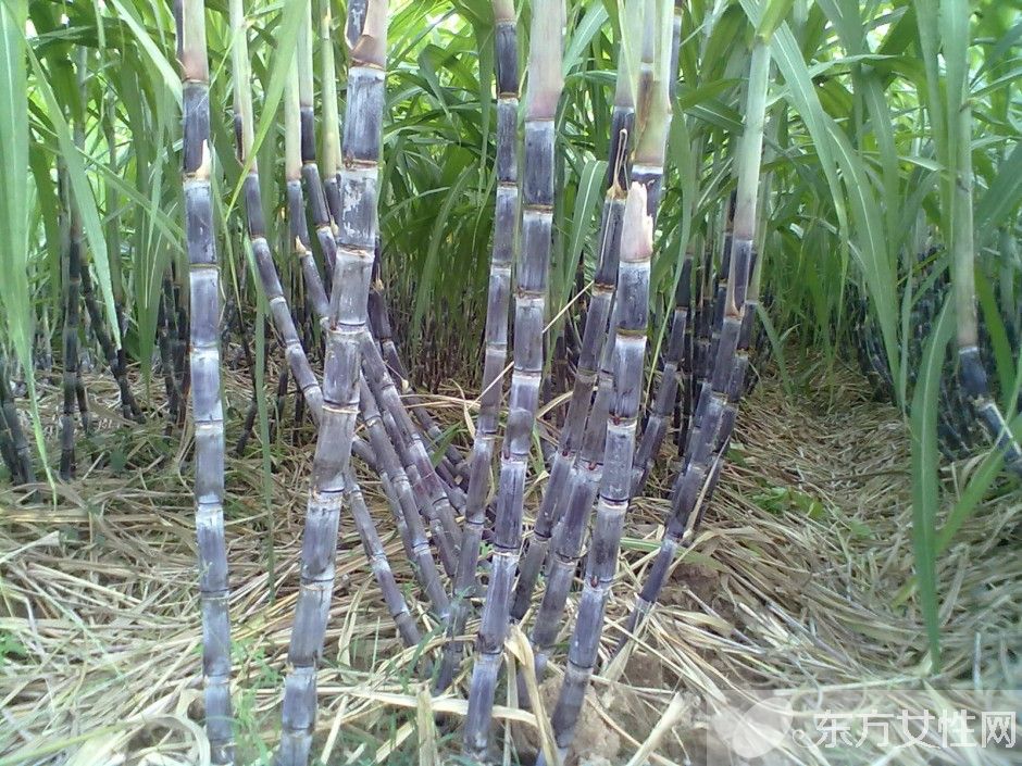 快速解酒的方法有哪些 酒后飲食對解酒的影響