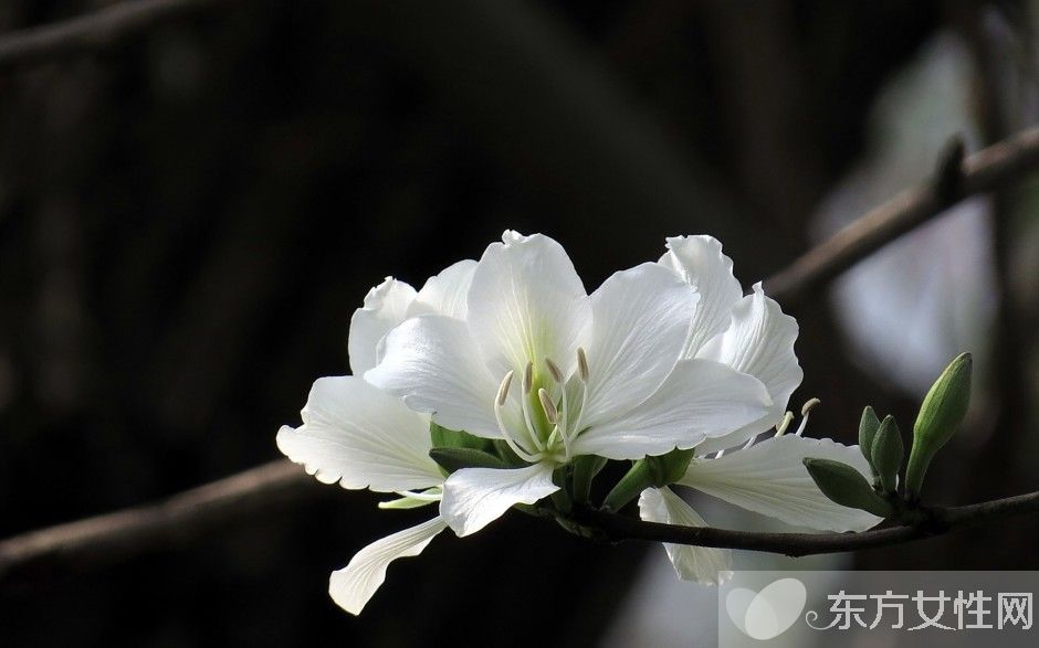 如何保護(hù)眼睛  推薦日常護(hù)眼10個小竅門