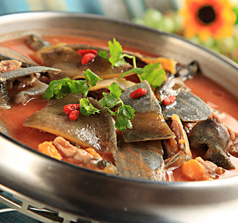揭甲魚的營養(yǎng)價(jià)值 最佳滋補(bǔ)佳品