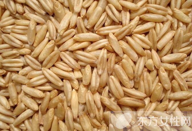 去濕氣的食物有哪些 預(yù)防濕氣入體的3大方法