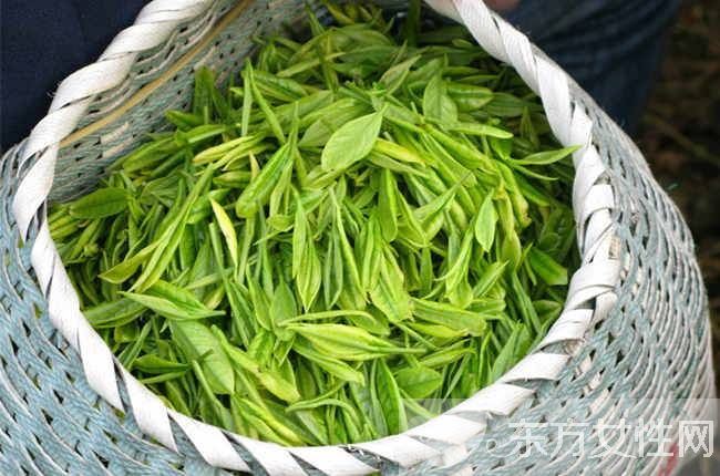 怎么保存茶葉 5大家庭保存方法